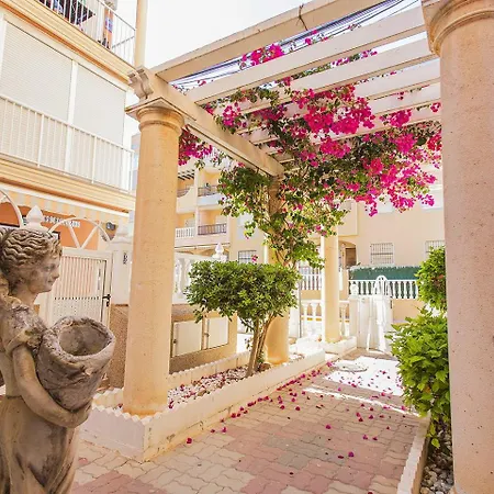 33 Terrace - Alicante Real Estate